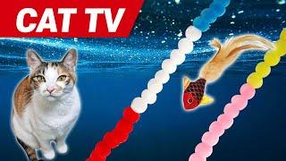 CAT Gmaesㅣvideos for cats to watch4Hourscat toy