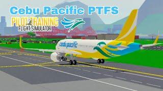 Cebu Pacific Air | PTFS (Advertisement)