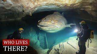 ARCHAEOLOGISTS FOUND A DOOR... AND IT CHANGED EVERYTHING!