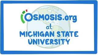 Osmosis.org at MSU College of Human Medicine