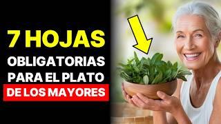 7 HOJAS ESENCIALES PARA EL ADULTO MAYOR QUE QUIERE VIVIR MÁS Y MEJOR