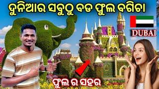 ଦୁନିଆର ସବୁଠୁ ବଡ ଫୁଲ ବଗିଚା || Worlds largest flower garden ￼miracle Garden #mutraveller