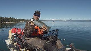 Destination: Lake Almanor for Huge Trout, Big Kings, and Abundant Smallmouth Bass