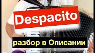 Despacito Разбор как играть на Аккордеоне с нуля   -  Бесплатный урок Аккордеона Деспасито