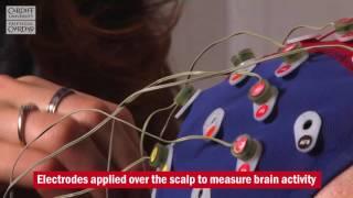 EEG - Cardiff University Brain Research Imaging Centre