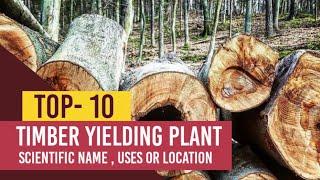 timber yielding plants | Plant Resource and utilization | Timber in detail with images | Botany