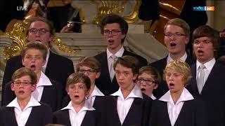 "Alta Trinita beata" | Dresdner Kreuzchor & Die Prinzen | Das Fest in der Frauenkirche (2015)