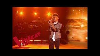 Daniel Balavoine - SOS d'un terrien en détresse  | Soan | The Voice Kids France 2019 | Finale