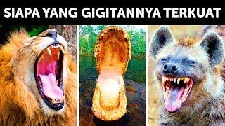 Gigitan Siapa yang Terkuat di Bumi