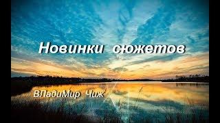 Новинки сюжетов.  ВЛадиМир Чиж