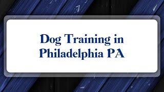 Top 10 Dog Training in Philadelphia, PA