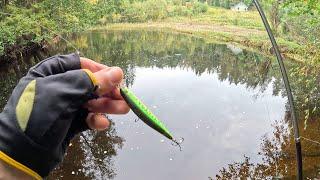 Small river big fish (Norway fishing )pt.2