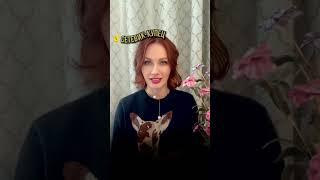 А кто вы? Купец или проDавец?