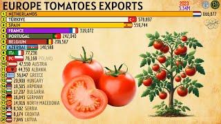 THE LARGEST TOMATO EXPORTERS IN EUROPE