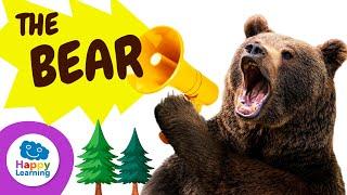 THE BEAR | Animals for Kids | Happy Learning ‍️ #happylearning #bear #animals