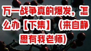 万一战争真的爆发，怎么办【下集】（来自静思有我老师）