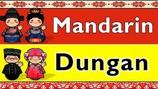 MANDARIN & DUNGAN