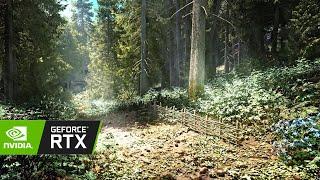Skyrim in 2023 | Ray Tracing Shader | RTX 4090 | 4K DLSS