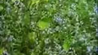 Radek Tymecki ft. Vinceblood - Oxygene Part 2 replica cover STEREO