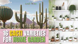 16 varieties of cactus you can grow at home #cacti #cactus