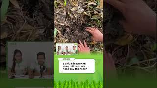 5 Điều Cần Lưu Ý Khi Phục Hồi Vườn Sầu Riêng Sau Thu Hoạch II Hành Trình Canh Tác Khoẻ
