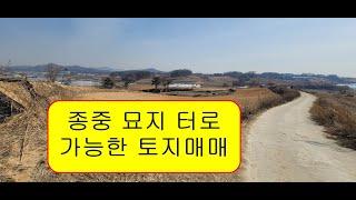 (부동산매물2)충북 음성군 삼성면 대정리 종중묘지(묏자리,산소,납골당,납골묘,수목장)로 사용할 토지매매