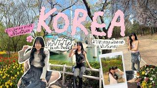 KOREA vlog 2024  มาเพื่อดอกพ็อดกด, ทริปไฟไหม้ จองเช้า บินเย็น, 4 วัน 3 คืน ฟออินอฟรินน