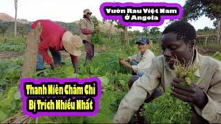 2Q VLogs||Trang trại Tony Phong đang làm được gì?|| Cuộc Sống Châu Phi