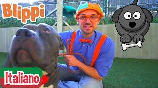 Blippi visita un rifugio per animali | Blippi in Italiano | Video educativi per bambini