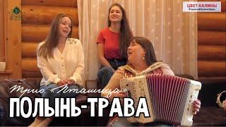 Трио ПТАШИЦА - Полынь-трава