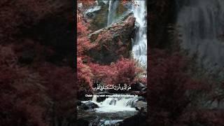 Beautiful Quran reaction|lofi quran|kuran pak tilawat #quran #quranrecitation