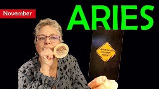 Who's this Two Face? Prepare to Act & Adapt ~ Aries End of November Tarot Reading