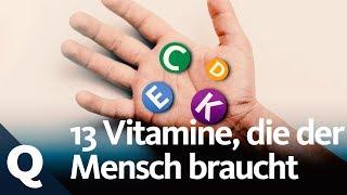 So funktionieren Vitamine im Körper | Quarks