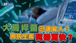 大腸桿菌迅速殺人？用抗生素死得更快？ ｜ 健康關注組 ｜ EP297 ｜ 產志賀毒素大腸桿菌 ｜ 吳雲甫 ｜ 朱智賢 ｜ HOY TV 77台