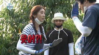 (Eng Sub) [나 혼자 산다 선공개] ＂웃어...?＂ 게임에 진심인 손담비와 기안84의 불꽃 대결!!!