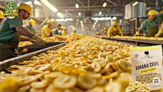 Banana Chips Mega Factory: Processing Millions of Bananas with Modern Technology