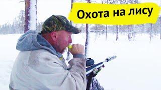 Охота на лису. Охотничьи приключения в Норвегии / NORDIC WILD HUNTER (Охотник и рыболов)