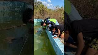 La piscina que estaba llena de limonada