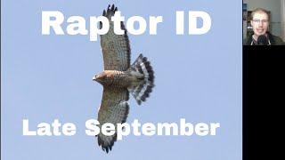 (2/6) Raptor Identification - Late September - Ashland Hawk Watch 2023