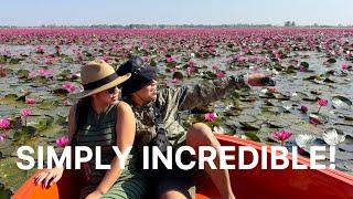 Thailand’s Red Lotus Sea (Talay Bua Deng) is AMAZING! 🪷 