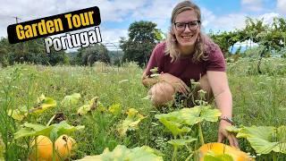 What's on my homestead in Portugal? - Garden Tour