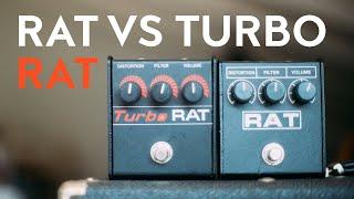 ProCo Rat vs ProCo Turbo Rat [the best rat distortion pedal for your guitar]