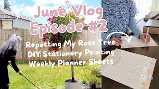 June Vlog Episode #2 Repotting My Rose Tree DIY Stationery Printing Weekly Planner Sheets