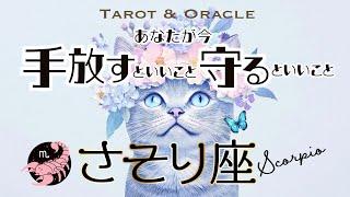 【さそり座️見た時がタイミング】準備完了ついに時代が到来です手放すといいこと＆守るといいこと