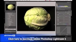 Fine Art Still Life: Ep 138: Exploring Photography with Mark Wallace