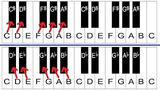 Sharps and Flats Explained - Piano Lessons For Beginners