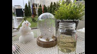 【Vlog】The first snow in 2021 and an interesting website / DIY vegetable wooden box( Ikea wooden box)