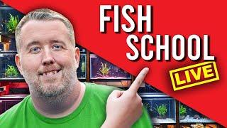 Sunday Fish School 6PM EST