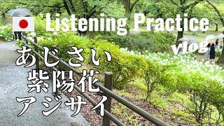 Japanese Listening Practice | The Impression Difference between Kanji, Hiragana, Katakana