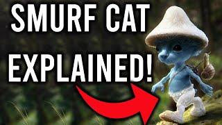 Smurf Cat EXPLAINED! (We Live We Love We Lie Cat)